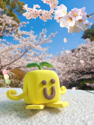 ohanami